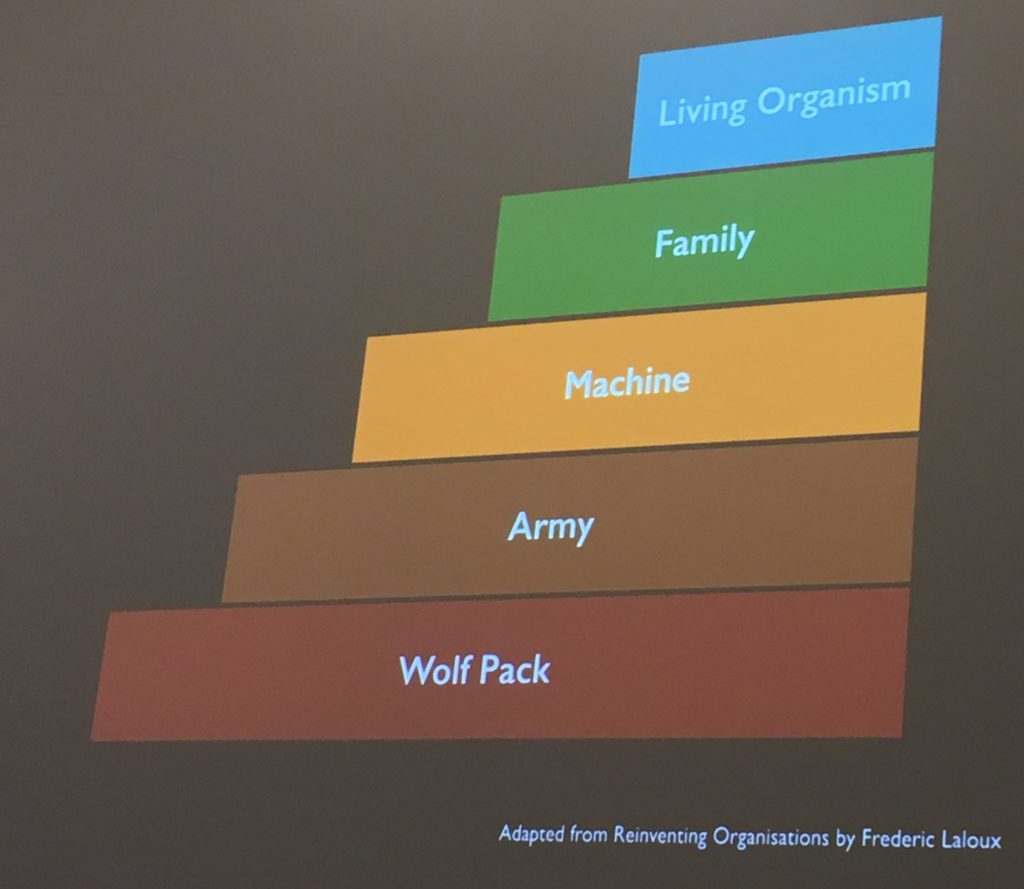 teal organizations hierarchy