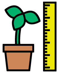 Measurement