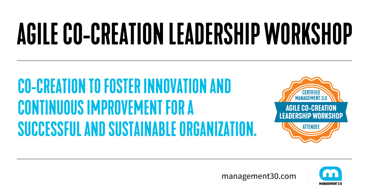 agile-co-creation-leadership-workshop-management-3-0