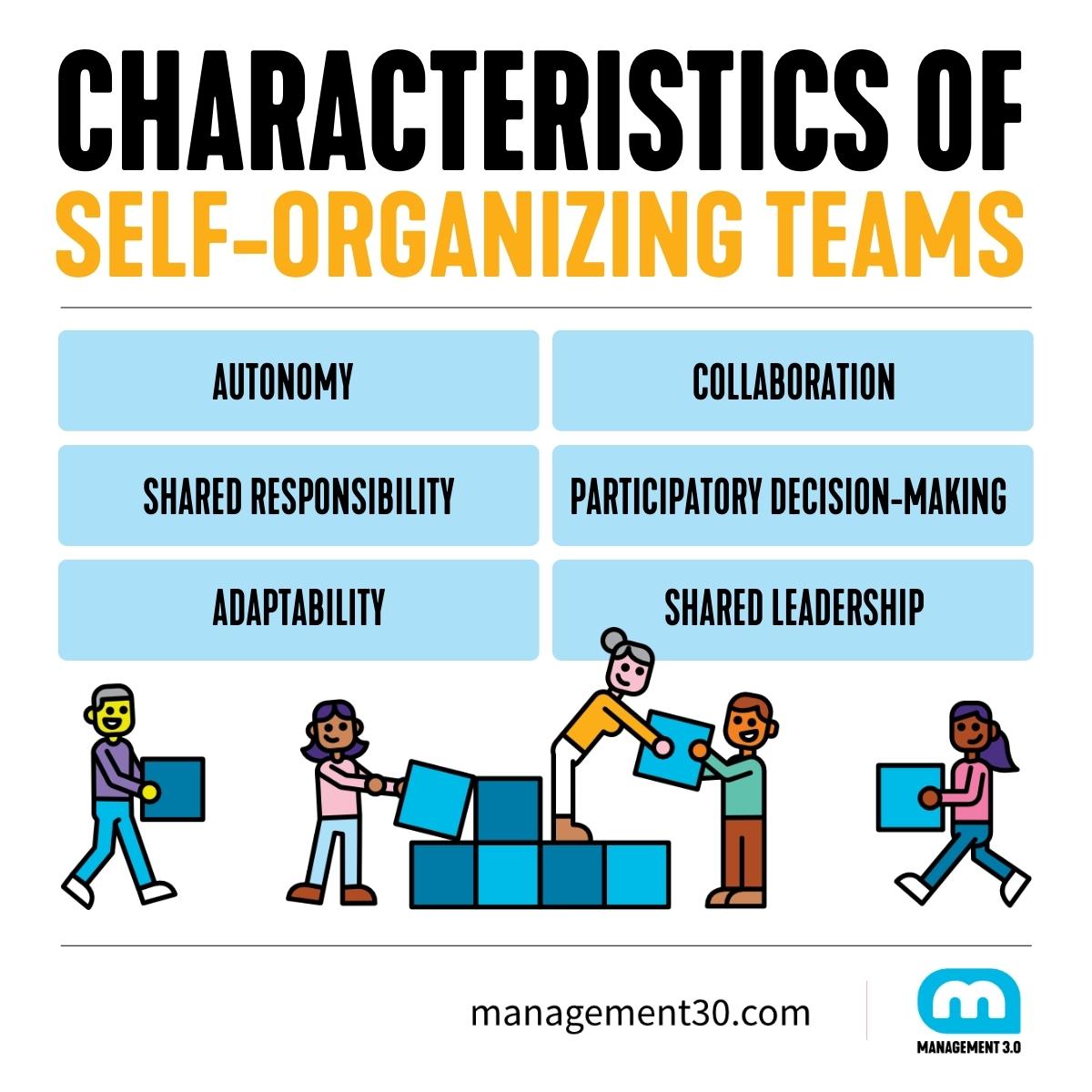 Characteristics of self-organizing teams